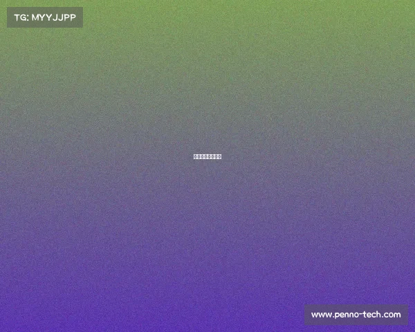 极速电竞什么意思